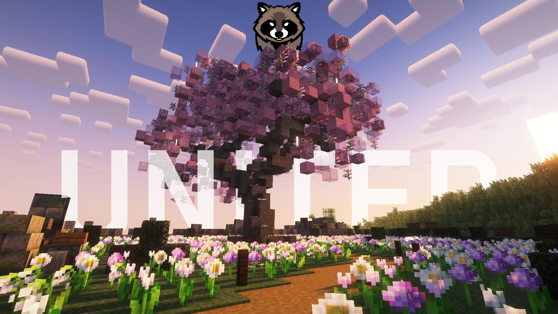 WALLPAPER UNITED 4 PNG